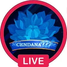 Cendana777 — mitra unggulan